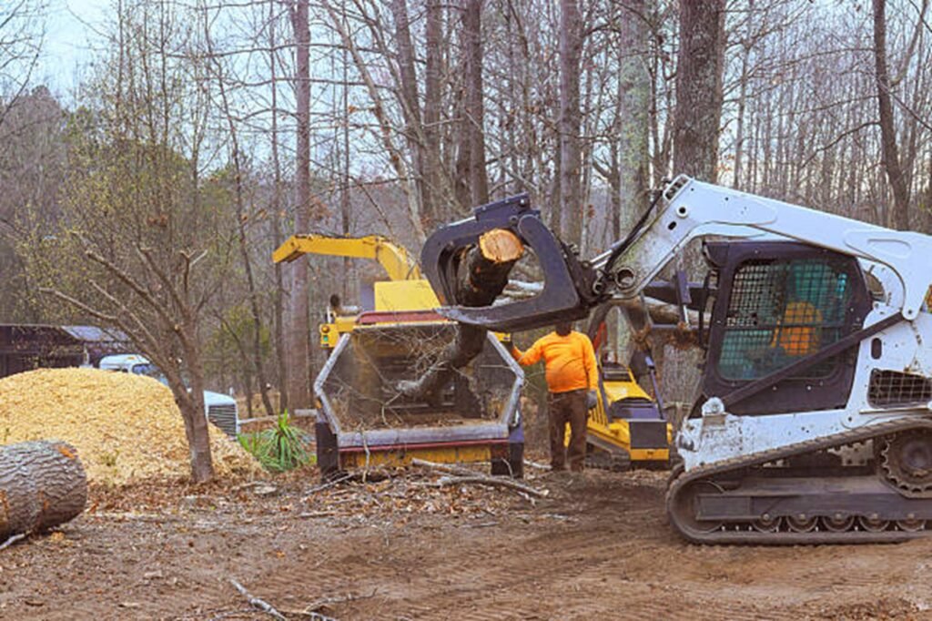 Residential property after professional tree removal with logs processed and the hazardous tree safely removed in St. Louis, MO.