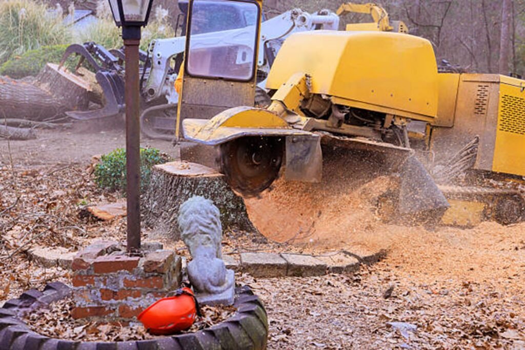 Professional stump grinding machine removing a large tree stump while clearing wood chips during a residential stump grinding project in St. Louis, MO.