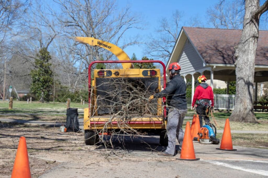 Gateway Tree Experts crew loading tree branches into a wood chipper after completing a residential tree service project in St. Louis, MO.