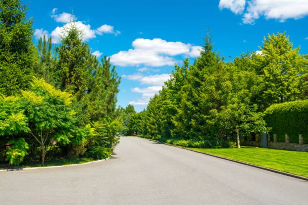 Beautiful tree-lined residential neighborhood representing the communities served by Gateway Tree Experts throughout St. Louis, MO.