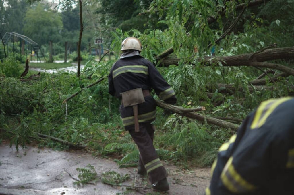 Professional crew clearing fallen trees and storm debris from a residential roadway during storm damage cleanup in St. Louis, MO.