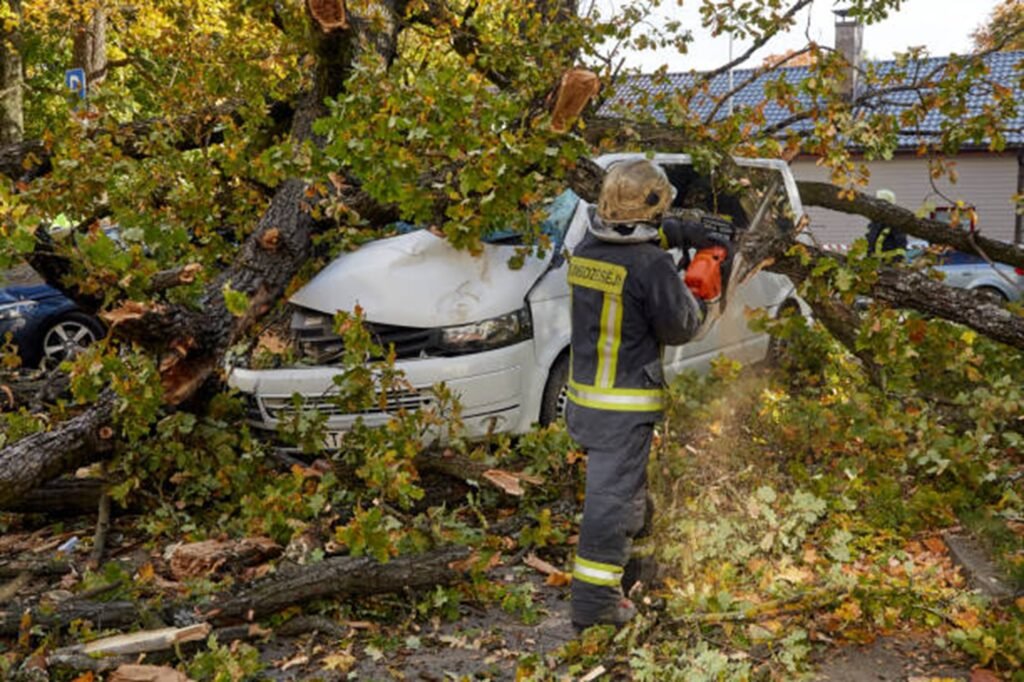 Emergency tree service crew removing a large fallen tree from a damaged vehicle after severe storm damage in St. Louis, MO.