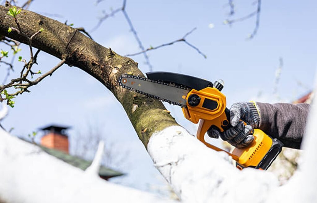 Professional arborist pruning a tree branch with a handheld chainsaw during residential tree trimming service in St. Louis, MO.