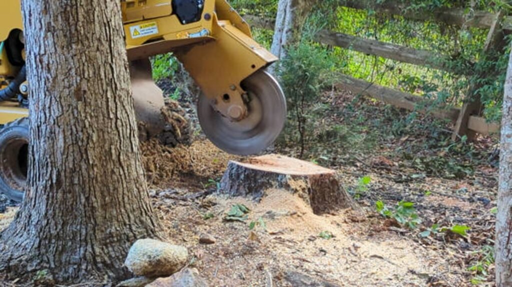 Commercial stump grinder removing a tree stump below ground level during professional stump grinding and removal service in St. Louis, MO.