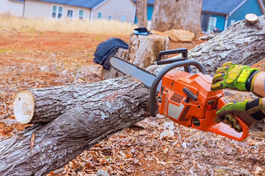 Professional chainsaw cutting through a fallen tree during emergency tree removal service at a residential property in St. Louis, MO.