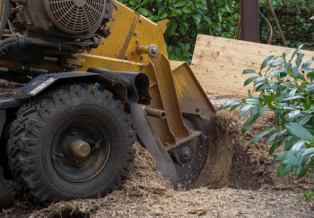 Professional stump grinding machine removing a tree stump from a residential yard during stump grinding and removal service in St. Louis, MO.