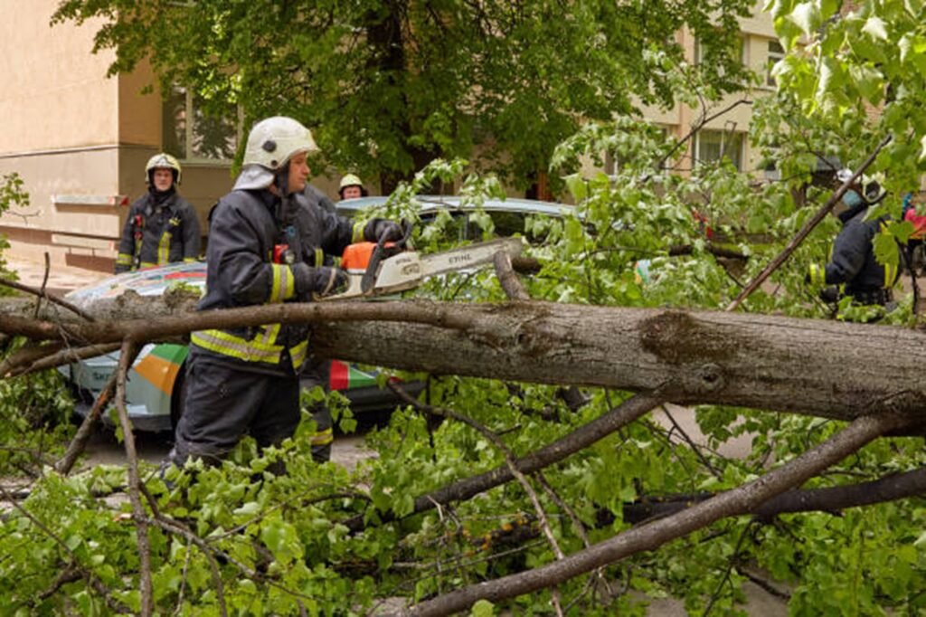 Emergency tree service crew safely cutting and removing a fallen tree blocking a residential street in St. Louis, MO after severe storm damage.