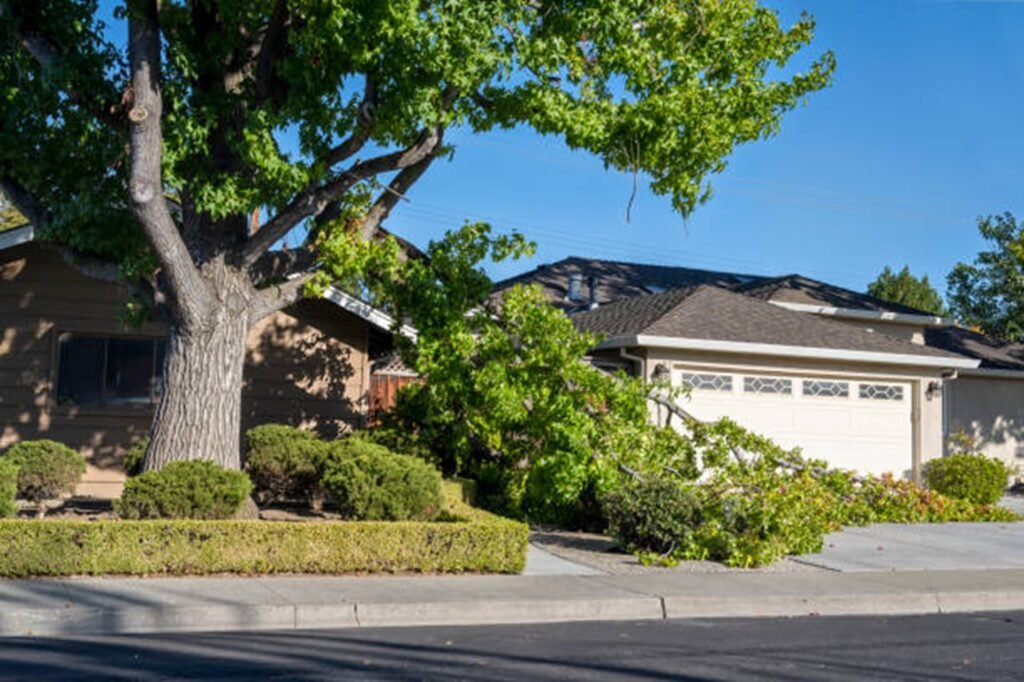Storm-damaged tree with broken limbs blocking a residential driveway before professional storm damage cleanup in St. Louis, MO.